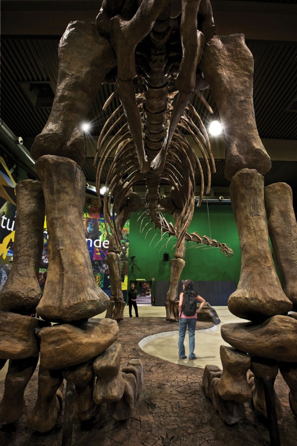 Lazenby Design Associates Blooloop