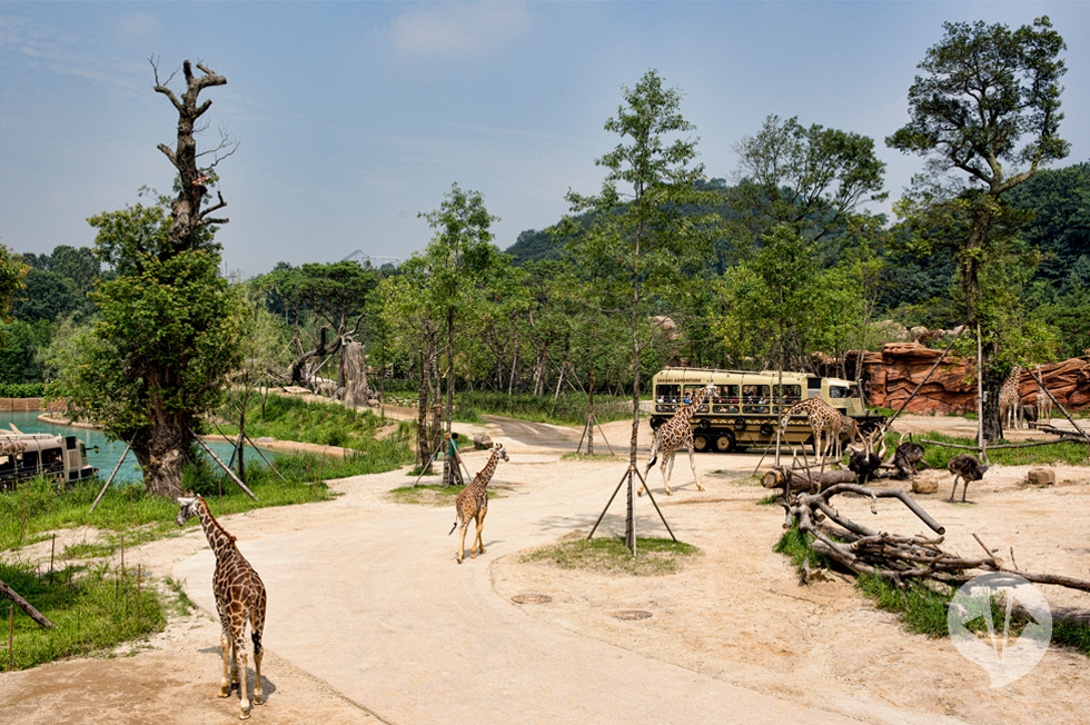 Lost Valley - Everland Resort Blooloop