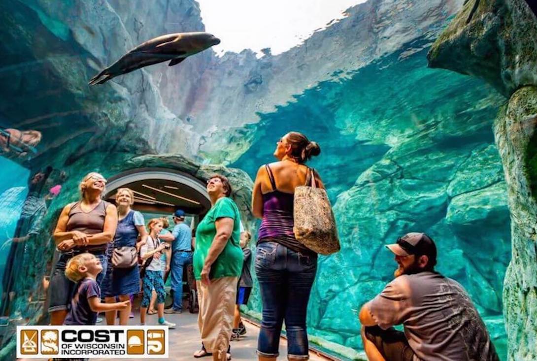 COST of Wisconsin Theme & Specialty Construction Services blooloop