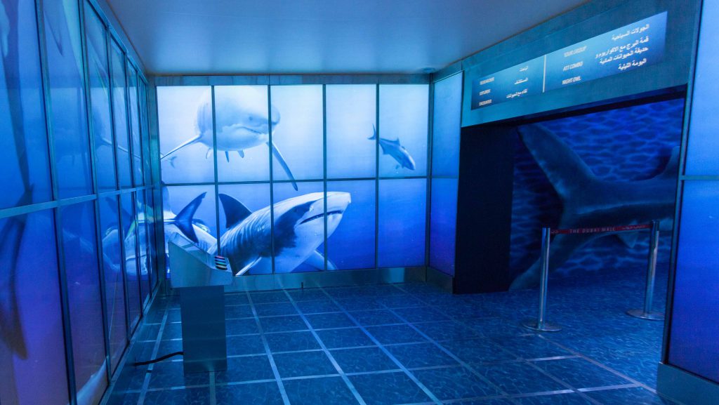 Aquarium Dubai Uae Zoo Paul Hamilton Sharks In A Mall