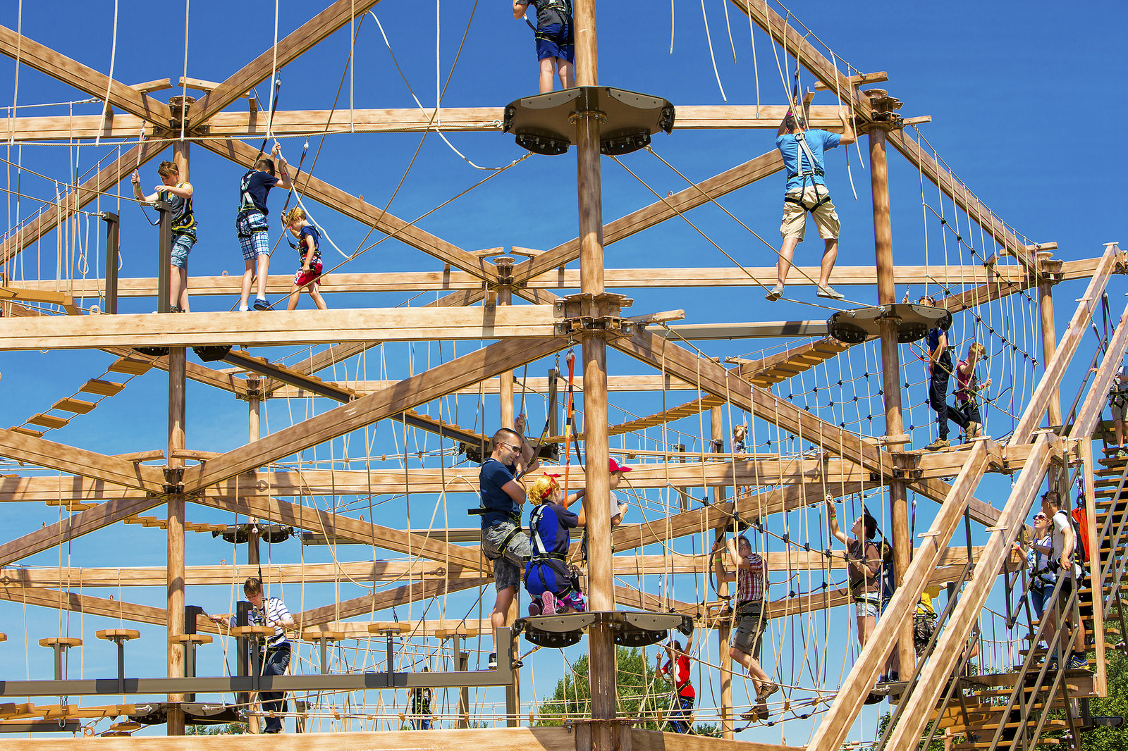 Sky Trail High Ropes Course Blooloop