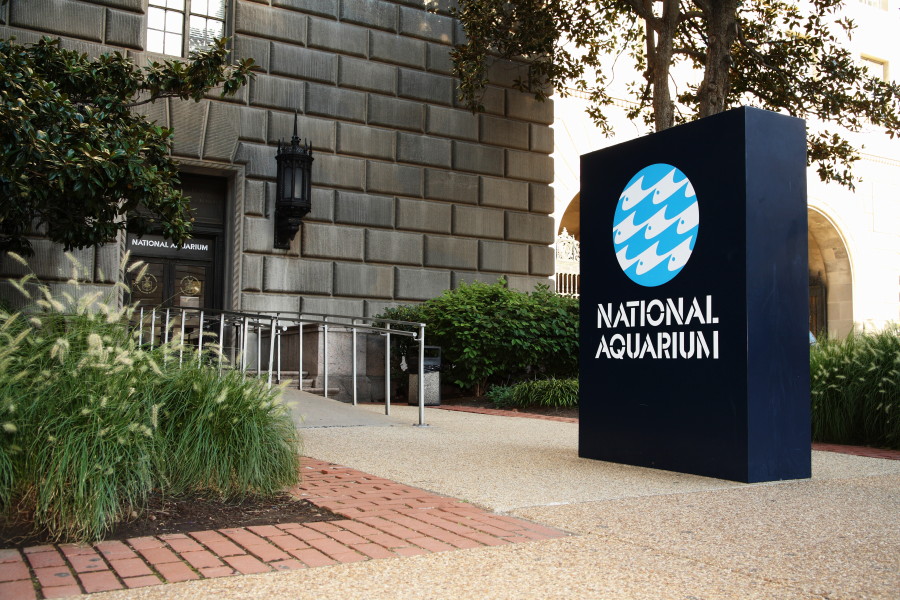 National Aquarium Launches Planning Phase for Washington DC Presence