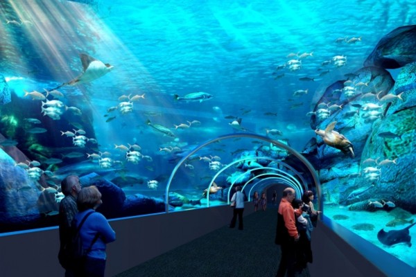the ocean casino resort aquarium