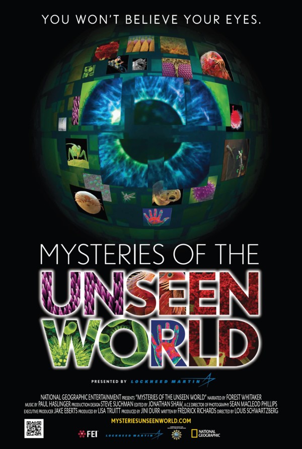 National Geographic Studios Wins Multiple Awards Blooloop