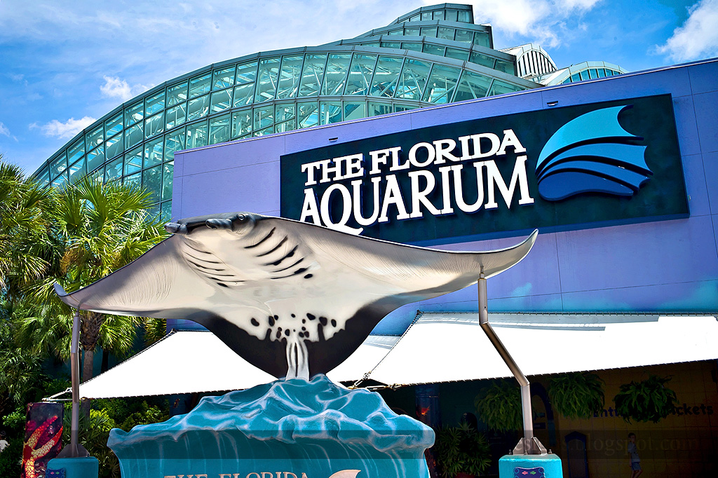 Amusement Advantage Partners the Florida Aquarium to Improve Guest Experience Blooloop