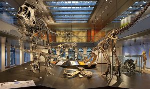 American Alliance of Museums: Annual Meeting and Expo 2017