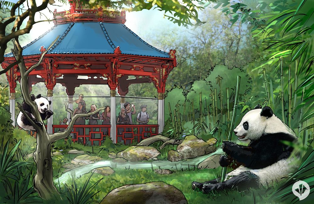 giant panda zoo habitat