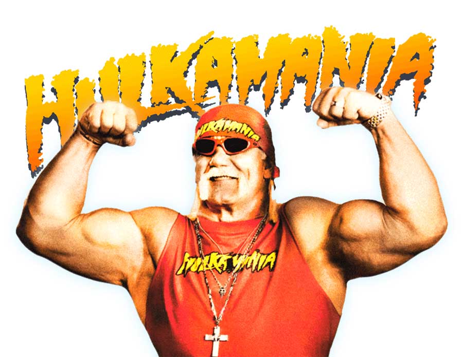 hulk hogan hulk hogan