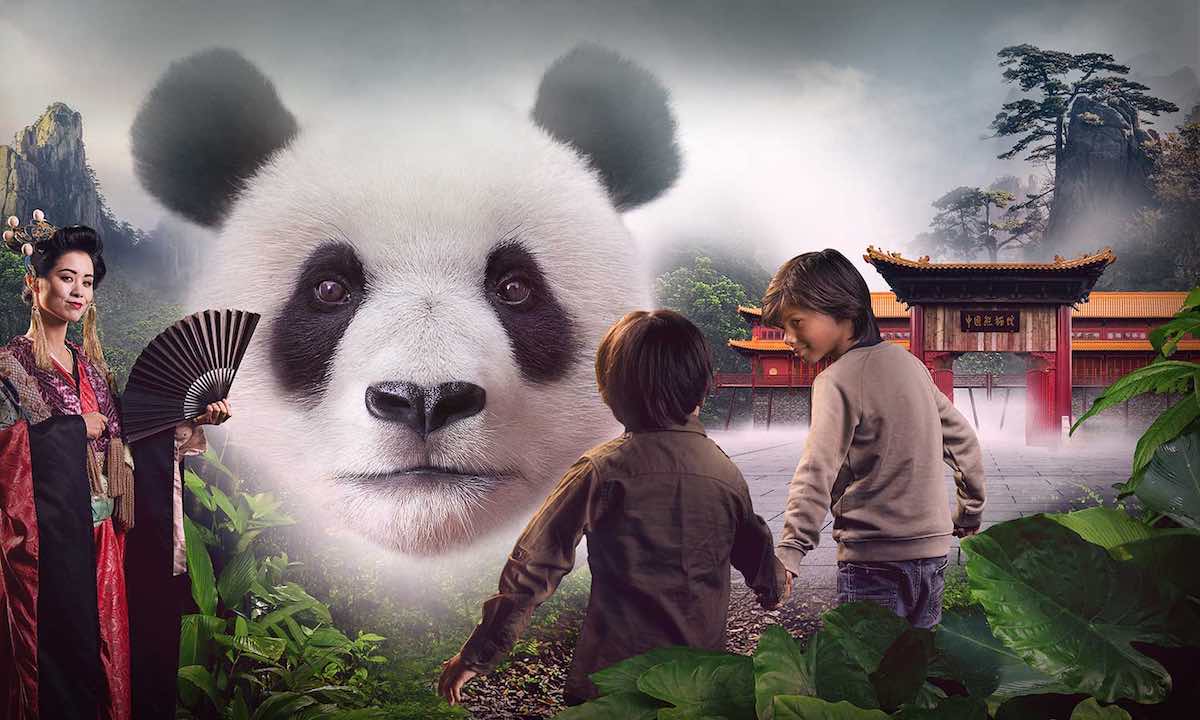 Giant Pandas The Revitalisation Of Ouwehands Zoo Blooloop