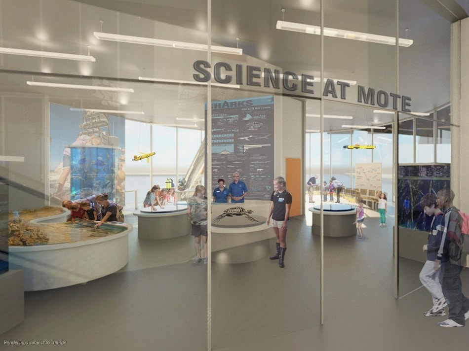 Mote Marine Lab to construct new aquarium in Florida blooloop