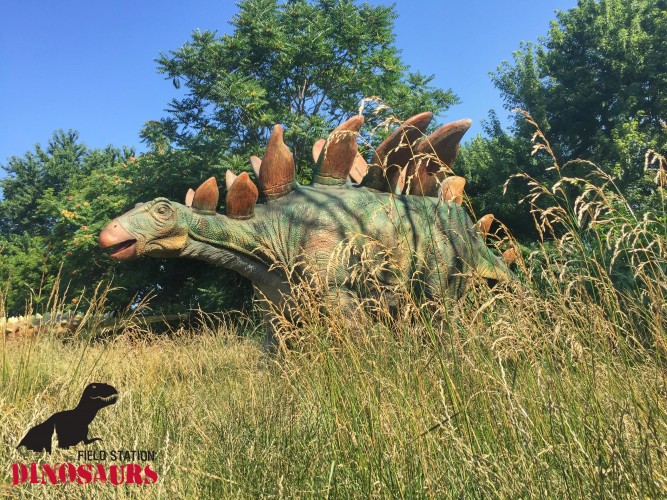 the field station dinosaurs