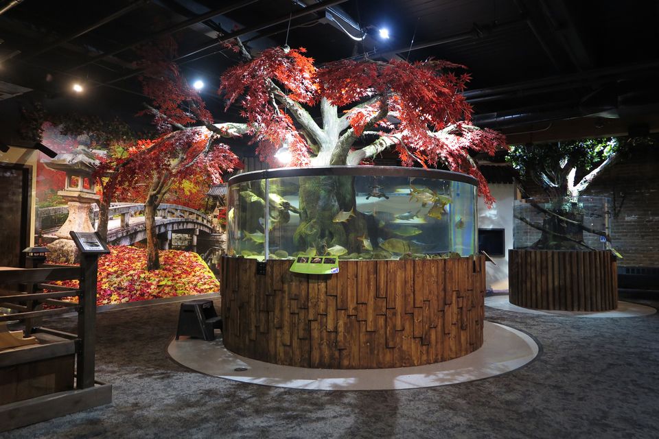 Greater Cleveland Aquarium undergoing 250,000 renovation blooloop