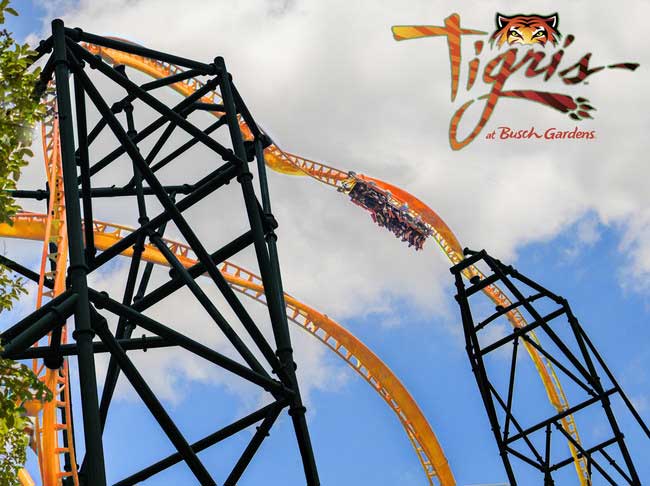 Tigris Launch Coaster Coming To Busch Gardens Blooloop