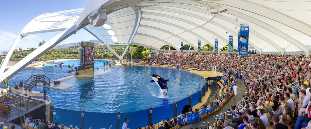 Loro Parque, Siam Park, Wolfgang kiessling, Christoph Kiessling | blooloop