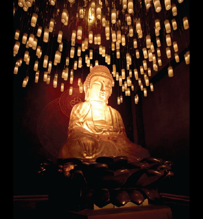 nFusion Companies of Nassal Buddha
