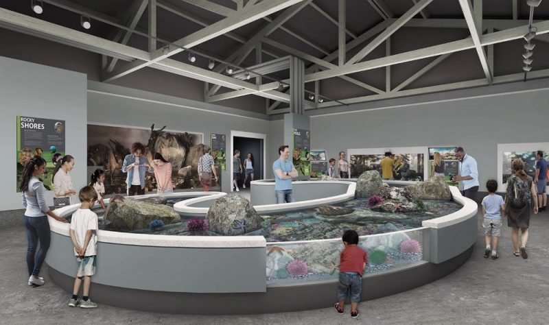 Oregon Coast Aquarium unveils $18m expansion plans | blooloop