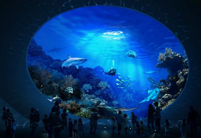 Seattle council approves 34m for Seattle Aquarium expansion blooloop